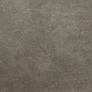 Bull Grey